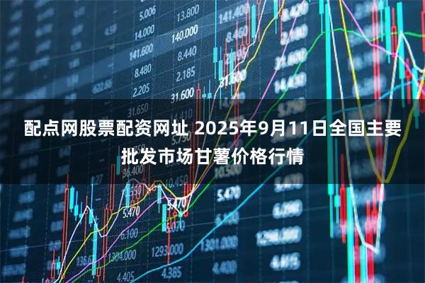 配点网股票配资网址 2025年9月11日全国主要批发市场甘薯价格行情