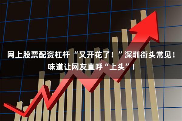 网上股票配资杠杆 “又开花了！”深圳街头常见！味道让网友直呼“上头”！