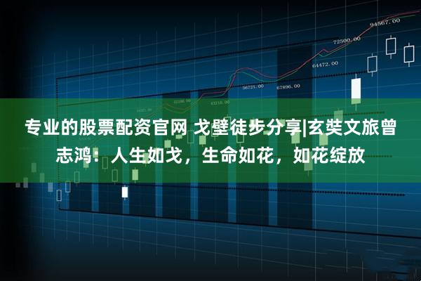 专业的股票配资官网 戈壁徒步分享|玄奘文旅曾志鸿：人生如戈，生命如花，如花绽放